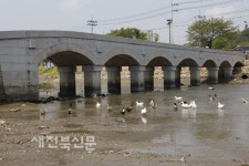 주검 위로 쉼 없이 떠다니던 고무신, 우리 민족 상처 간직한 아픔의 다리