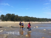 사시사철 푸르름 잃지 않는 강인함으로 생명과 평화의 삶터 지켜내