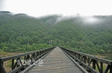 분단 아픔과 애절한 사랑 이야기 품은 다리