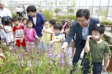 신기한 곤충나라로 오세요