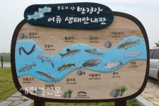 오며가며 드나드는 힐링천국…강태공 발길 낚는 공간으로