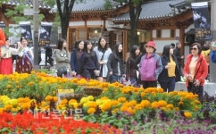 화려한 꽃들과 가을 정취 느껴지는 한옥마을