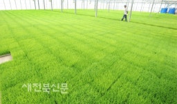오늘은 소만…풍년 기원