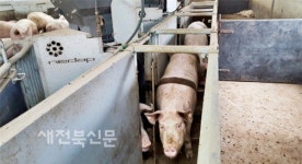 ICT기술로 축산업 활성화 도모