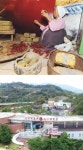장하면 순창이지 장류의 모든 것