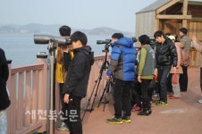 군산-서천 금강철새여행 떠나요