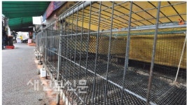 고병원성 AI에 텅빈닭장