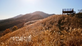 군민 중심 행복장수 기반으로 농특산물 유통 강화부터 복지까지 톡톡