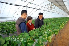 정읍 농기센터, 겨울철 시설작물 관리 당부