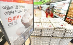 대형마트서 선보인 수입계란
