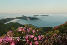 花 들짝 자연의 나라 무주로 오세요~