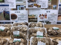 군산시민과 군산 관광 위한 일, 장기 비전으로 만들어야