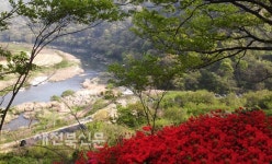 꽃과 어우러지는 힐링의 고장 임실