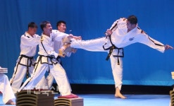 북한태권도시범단공연