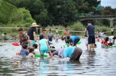 아빠! 주말에 다슬기 잡으러 가요.