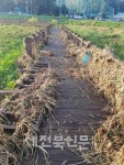 100년 커녕 10년앞도 예측못한 고창군