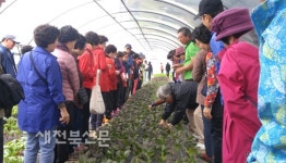 순창군, 교육프로그램 농산물 판매 연계