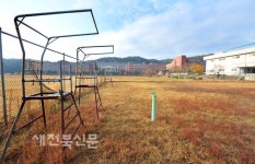 서남대학교
