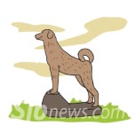 [온누리] 오수 개