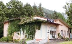 장수미술관, 김다해그림여행전