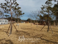 남원시, 친환경 공설자연장지 조성