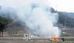 산불위험… 밭두렁 태우기