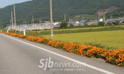 봄향기 가득한 임실로 오세요