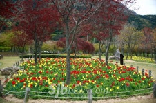 정읍시, 송산교차로 도시숲 조성