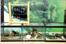 사계절이 살아 숨쉬는 무주 덕유캠프농장