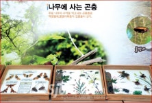 사계절이 살아 숨쉬는 무주 덕유캠프농장