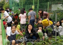 학교농장,직접 심고 가꾸며 수확의 기쁨 느껴요