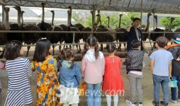 농촌서 즐기는 오감만족 체험학습