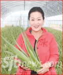 알로에 활용한 융복합산업으로 소득 높일 터