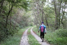 함라산 둘레길 따라 만나는 풍경