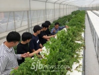 원광대, 창업아이템사업화 프로그램 교수창업 지원