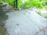 국내 최대 규모 윷판형암각화 남원 구룡계곡서 발견