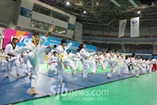 태권도 정신과 한국 전통문화 알린 세계태권도문화엑스포 폐막