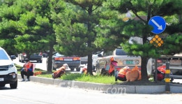 살인더위에 노인들 화단정리 시킨 전주시