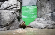 무주반디랜드 수족관 개장