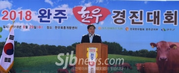 완주 한우경진대회-축산업 발전에 한 몫