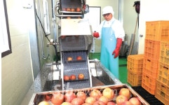 정성 담은 안전한 먹거리 소비자에 공급할 터