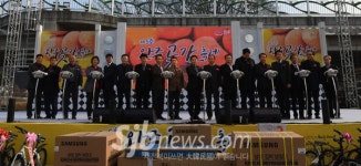 달콤하고 쫀득한 완주곶감 최고