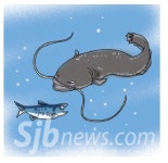 [온누리] 메기효과