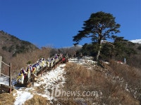 남원 와운마을서, 지리산 천년송 당산산신제