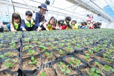 호동골 생태교실