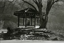 [이철수의용담이야기](14)정천면 입석정