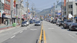 순창군, 가로수 제거 마무리…깨끗한 도로 조성