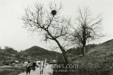 [이철수의용담이야기](19)정천면 이포마을