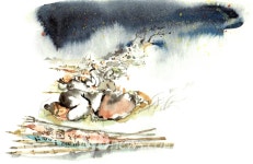 우리 곁의 동학농민군 이야기