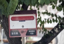 비무장지대 대성동 마을, 세금‧군 면제 되는 유일한 곳…입주방법은?